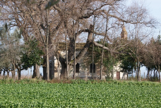 La Chiesetta di Santa Lucia tra le querce