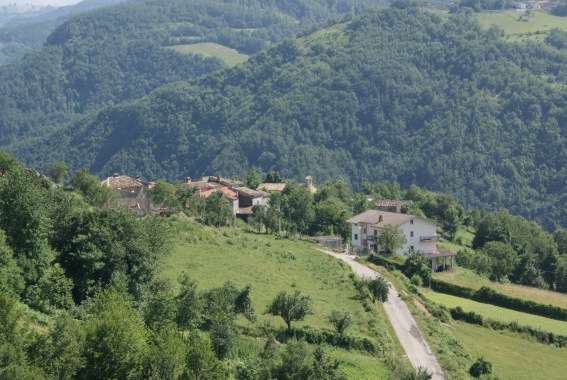 Canili: panorama