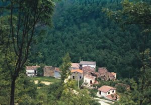 Casagreca di Cortino (Te): veduta