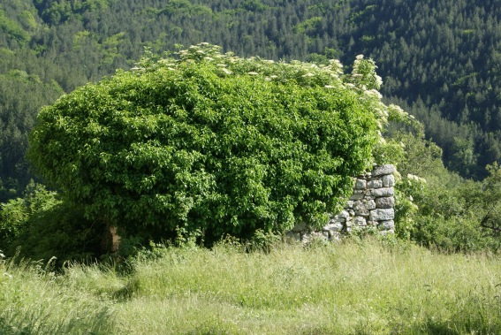 Corano di Sotto: ruderi