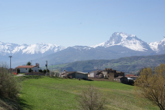 Panorama di Ginepri