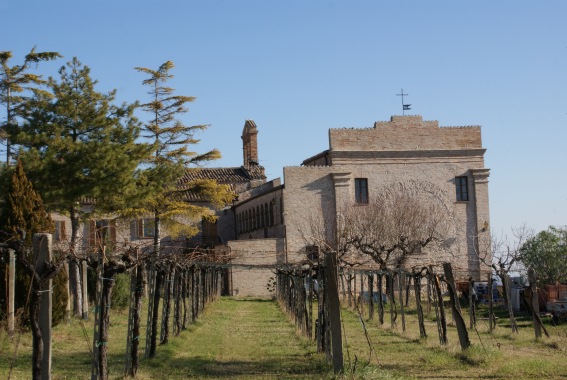 Chiesa di S.Antonio Abate nell'ex Convento di Morro D'Oro (Te)