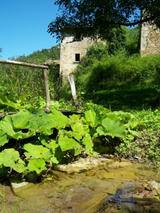 Valle Pezzata: ruscello con ponte in legno nei pressi del borgo