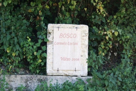 Bosco di Valzo di Valle Castellana (Te) intitolato alla biologa Carmela Cortini Pedrotti
