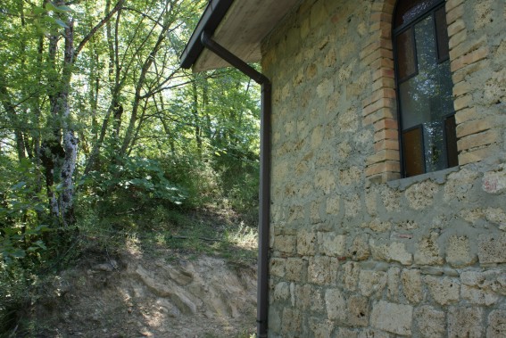 Valzo di Valle Castellana (Te): Chiesa di S. Maria Assunta e boschetto retrostante